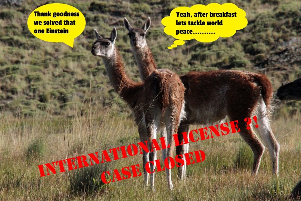 Two guanacos making a joke about solving the problem and next solving world peace