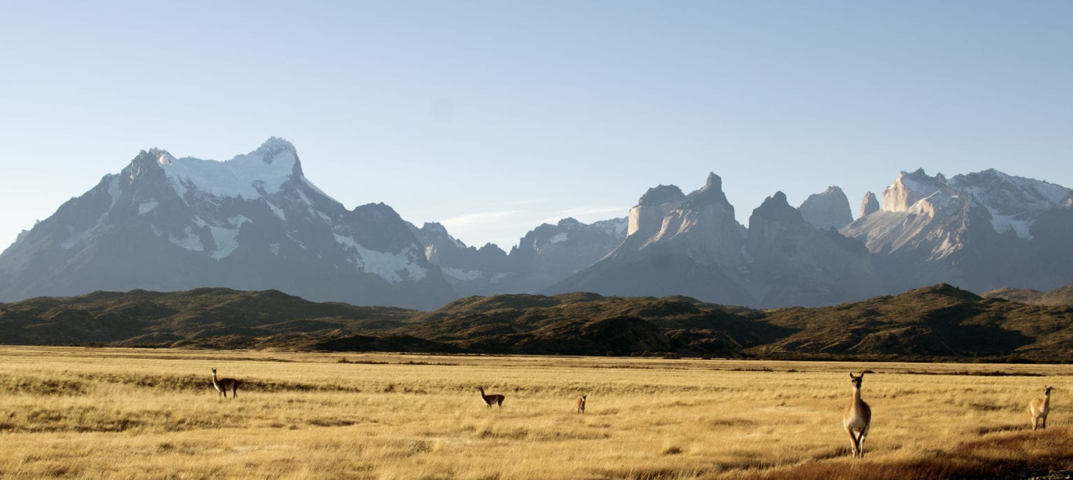 How to visit Torres del Paine in a Campervan - Condor Campers