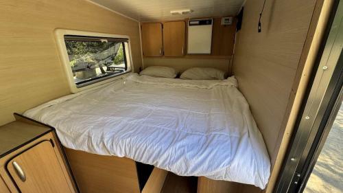 Foto 08-10-25, 15 54 16