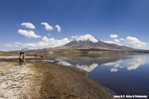 Parque Nacional Lauca in Parinacota-Arica, Chile. Blue lake on the right and volcano topped with snow in the background. Two people are walking towards the volcano.