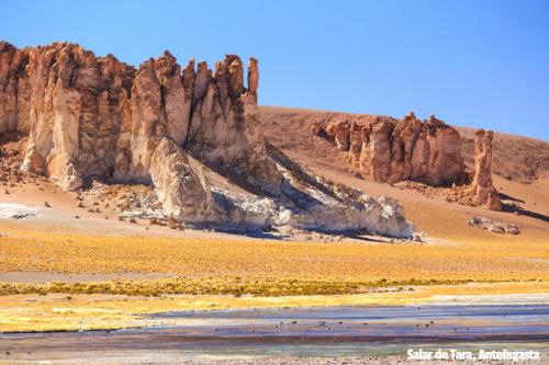 Salar de Tara, Antofagasta, Chile. Spiky orange jagged mountains with desert and dry grass at the front.